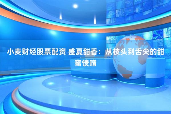 小麦财经股票配资 盛夏甜香：从枝头到舌尖的甜蜜馈赠