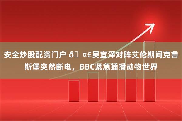 安全炒股配资门户 🤣吴宜泽对阵艾伦期间克鲁斯堡突然断电，BBC紧急插播动物世界